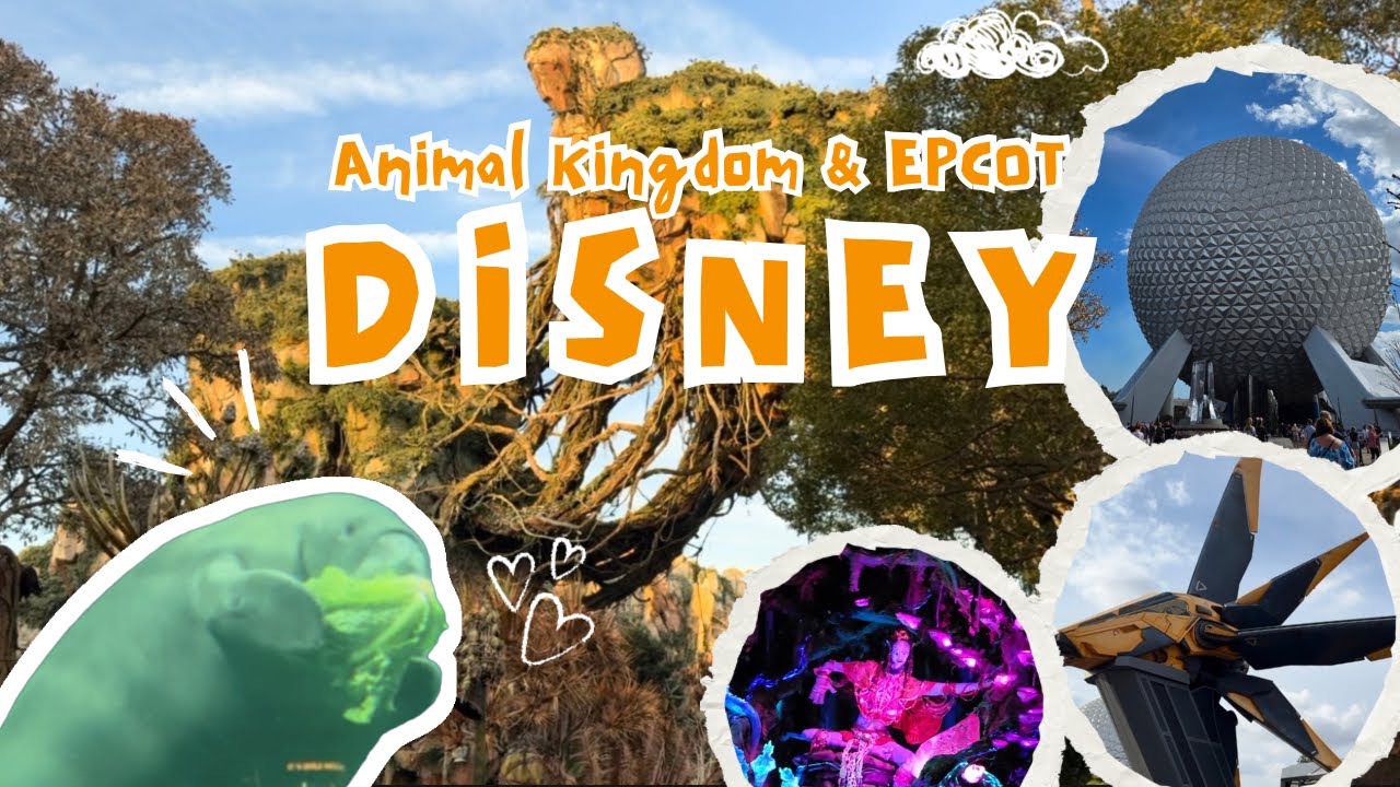 [올란도 디즈니월드 Day 1] 애니멀킹덤 & 앱콧 뽀개기 