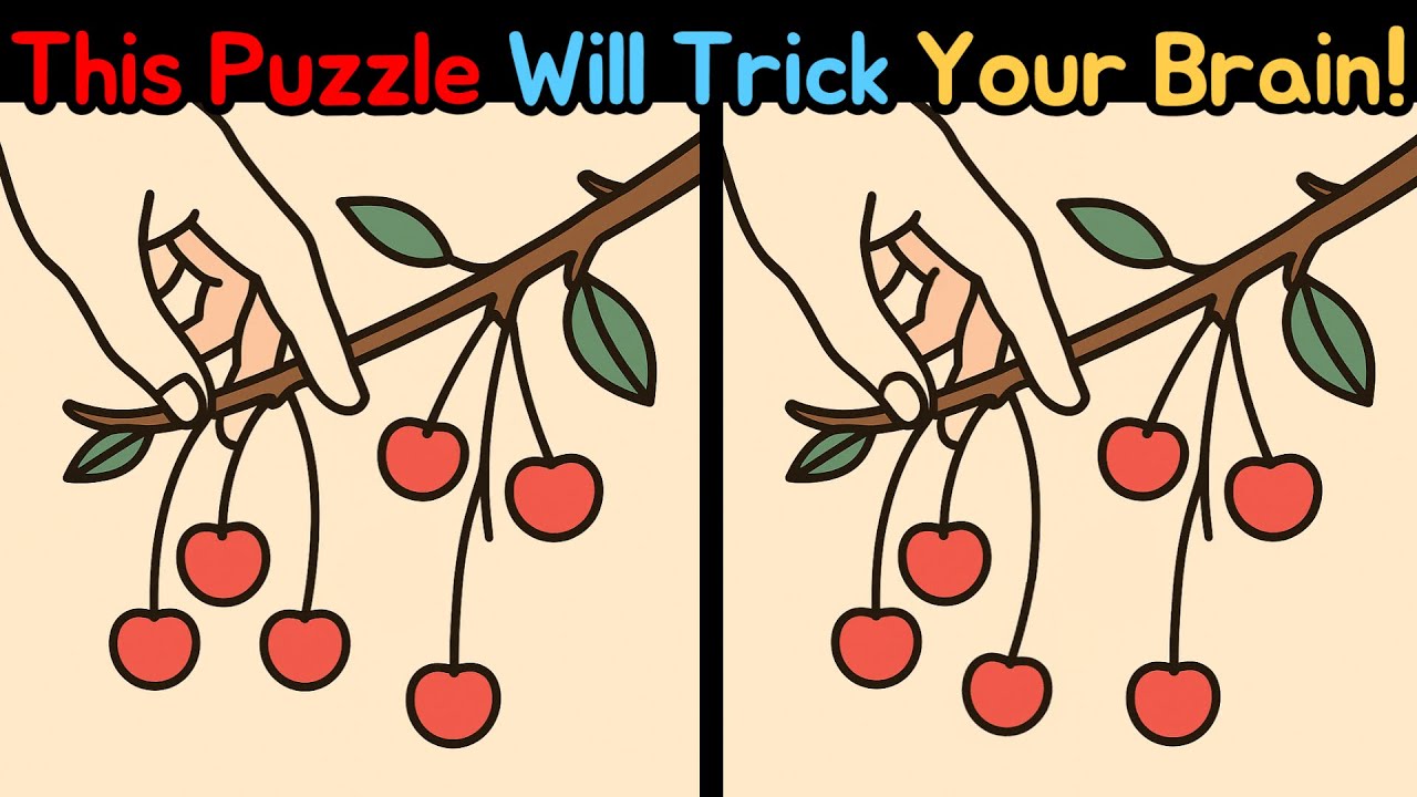 Spot The Difference: This Puzzle Will Trick Your Brain! [Find The Difference!]