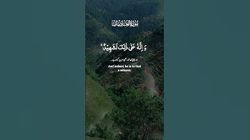 Surah Al-Adiyat سورة العاديات #quran