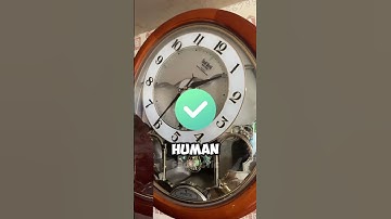 Why Clocks Spin Clockwise? 🕙🤔