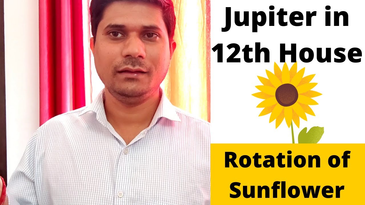 Jupiter in 12th House in Vedic Astrology (Jupiter in the Twelfth House