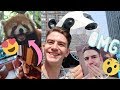 CHINA VLOG | RITZ HOTEL, CHENGDU PANDAS, 24 HOURS OF TRAVEL | MR CARRINGTON