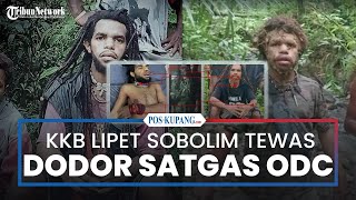 KKB Pelaku Pembacokan 2 Warga Sipil di Yahukimo Tewas Didor Satgas ODC