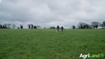 How to measure grass