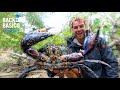 GIANT MUD CRABS Catch & Cook Surviving On Uninhabited Island