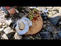 Brochettes dhutres sauvages du pembrokeshire et casquettes delfe carlate avec craig evans