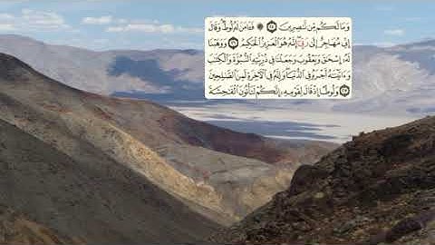 399-page سعد الغامدي - -سورة العنكبوت AL-ANKABUT / L'ARAIGNÉE -29