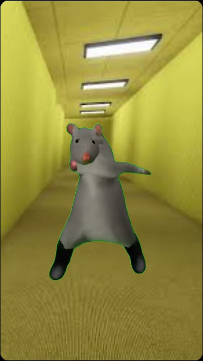 El ratón bailando 😂