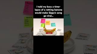 When you hire Gen Z to promote your song, they do a 24/7 livestream of a rotting banana. #dubstep