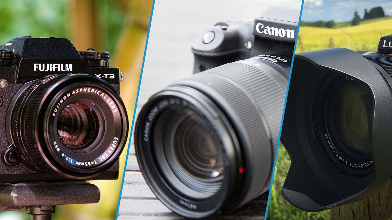 Top 10 Cameras for Wildlife Photography in 2025 (Buying Guide) - YouTube