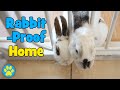 3 Ways To Rabbit-Proof Your Home