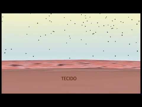 Técnicas Histológicas - Uma Abordagem Prática