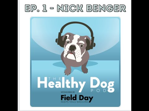 Engagement is King & Reactivity with Nick Benger - Season 2 - Episode 1