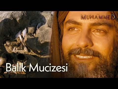 Balık mucizesi...🐟 | Hz. Muhammed: Allah'ın Elçisi