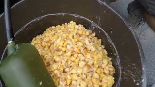 How to Prepare Maize (Field Corn, Feed Corn) for Carp Fishing