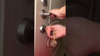 ЧАПИТОСИКОМ СКУЧНО...