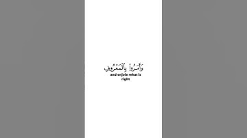سورة الحج بتلاوة الشيخ ماهر المعيقلي #قران_كريم #سورة_الحج #الشيخ_ماهر_المعيقلي #fyp
