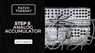 Famous Patch Tuesday |  Analogue Accumulator with Step 8 & Route 4 Wealth