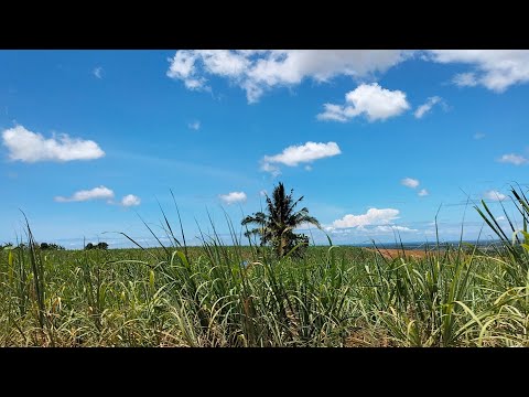 My Short Journey In Negros Island Region Part 8