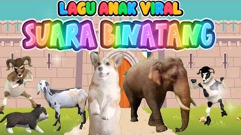 SUARA BINATANG lagu Viral anak indonesia #laguanak #suarabinatang #kbeebsingtv