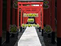 ※注意※最後まで見ることができた人は信じられない体験がやってきます #Shorts