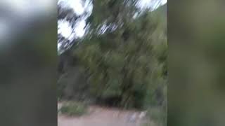 Recorriendo agua buena