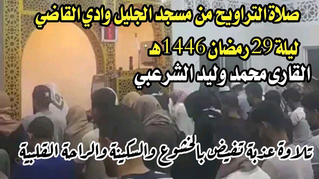 صلاة التراويح من مسجد الجليل وادي القاضي ليلة 29 رمضان 1446هـ  القارئ محمد وليد الشرعبي