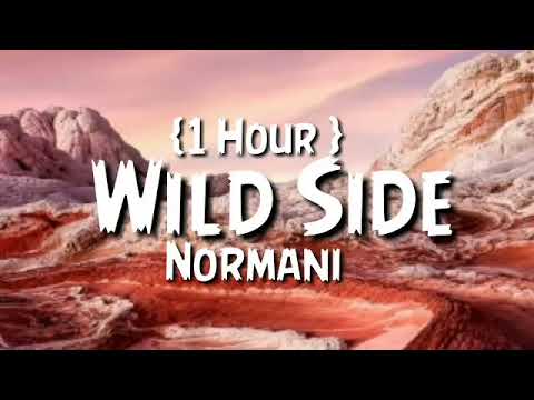 Normani , Wild Side {1 Hour }