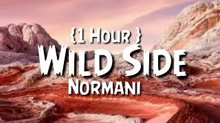 Normani  Wild Side 1 Hour 