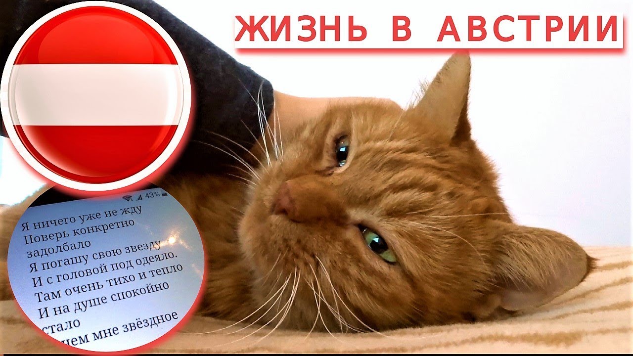 Я ничего уже не жду, поверь, конкретно задолбало. Жизнь в Австрии - YouTube