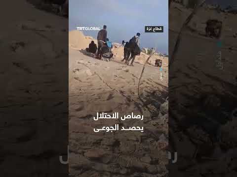مشاهد توثق إطلاق جيش الاحتلال النار من رشاشات ثقيلة وخفيفة على المواطنين
