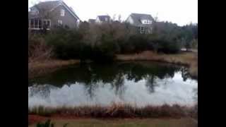 Exploding Pond!!