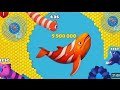 Fishdom 🐠Video [1.5] Hungry Fishs Gameplay | Ads Mini Games New Update 2026