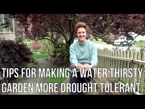water wise landscaping What To Do In A Drought With A Non Drought Tolerant Garden