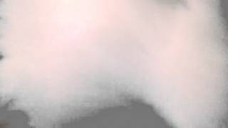 WP 20140211 002