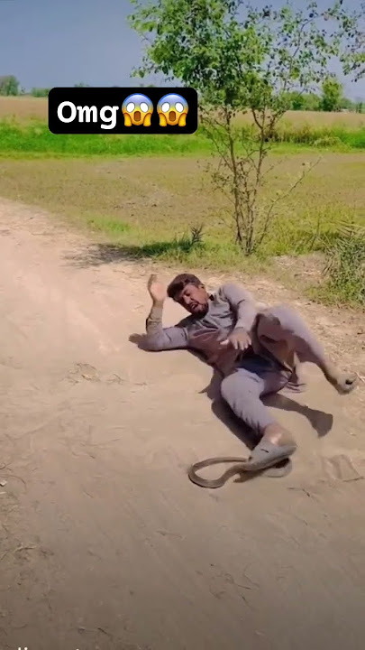 Omg Snake pant ke andar chala gya😱😱#viral #shorts #achayanarmyfamily #funny