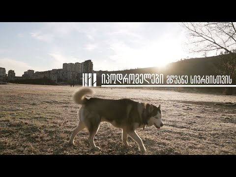 იპოდრომელები მწვანე სივრცისთვის