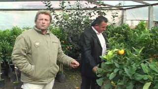 Shkoder, Fermeret Dhe Kreditim