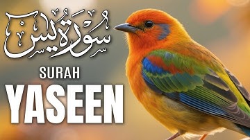 Surah Yaseen سورة يس | Ultimate Lofi Quran | Peaceful Deep Sleep & Anxiety Relief