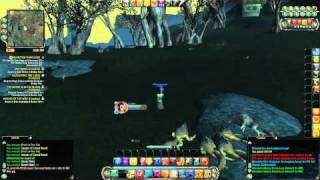 RIFT CLERIC DPS AOE