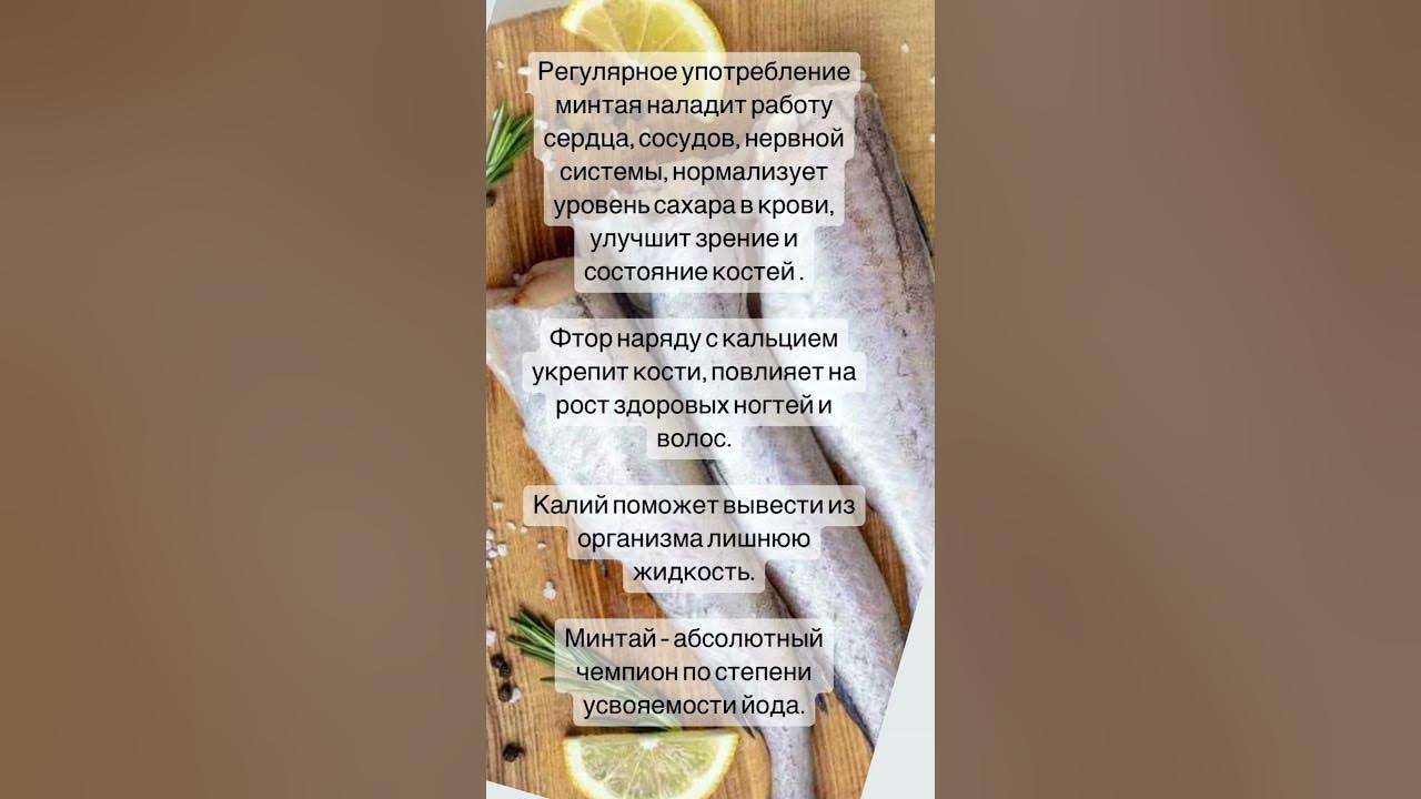 Минтай в природе. Минтай где обитает. Рыба минтай польза и вред для организма. Самый крупный минтай. Рыба минтай польза и вред для организма.