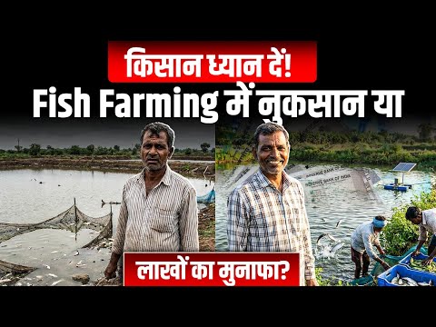 Fish Farming से लाखों कैसे कमाएं? 😳 ये काम नहीं किया तो पैसा डूब जाएगा