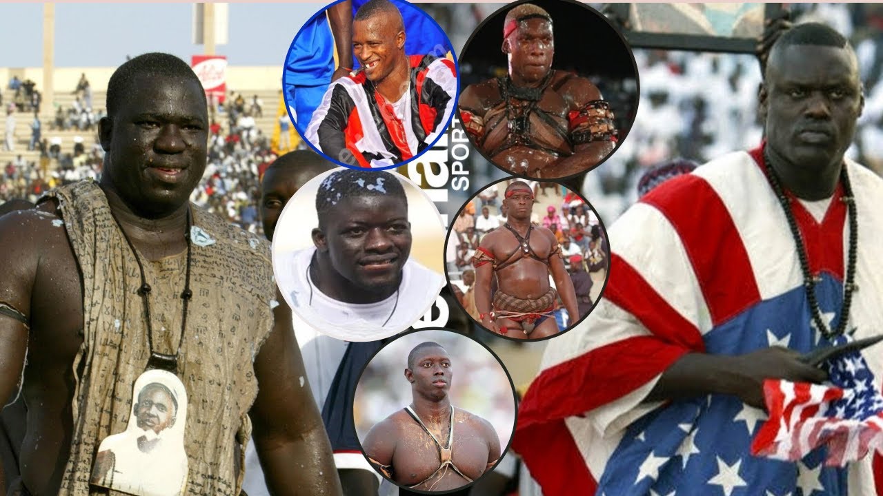 L'âge d'or de la lutte 2006 - 2013 