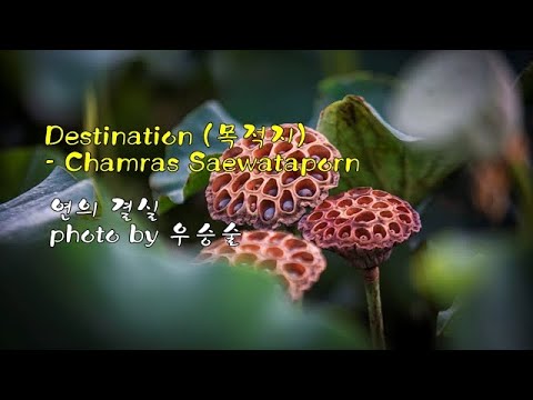 연의 결실 &amp;amp; Destination (목적지) / <strong>Chamras</strong> Saewataporn &amp;amp; photo by 우승술