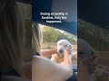 Funny animals 🤣🤣 #foryou #shorts