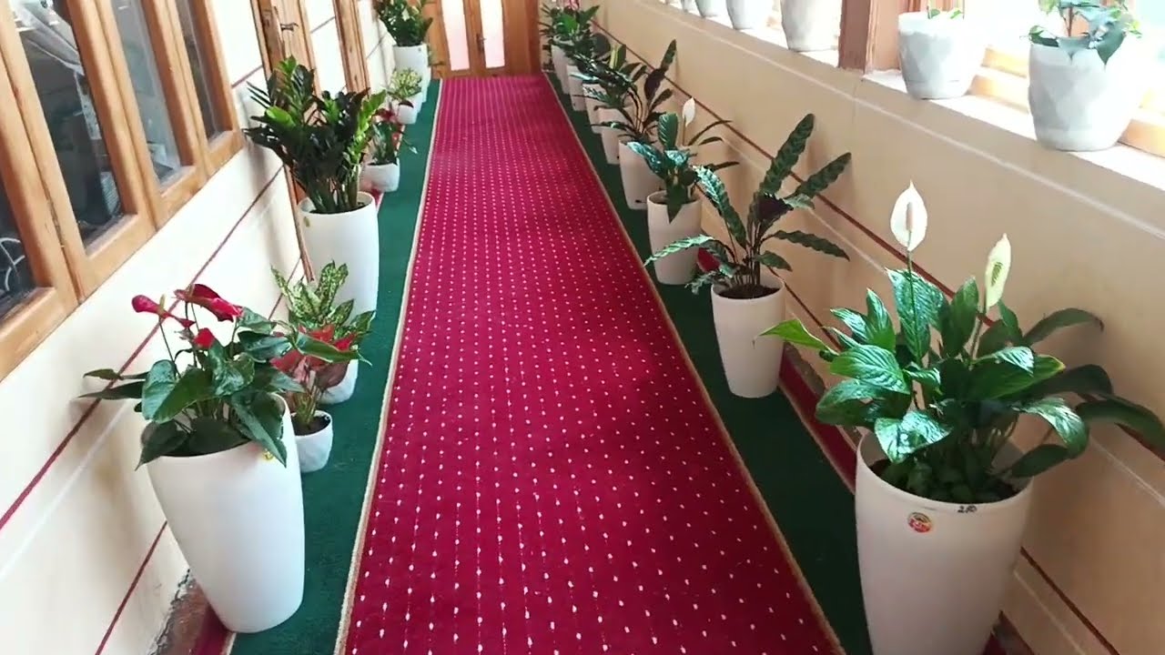 Гузал гулларимиз