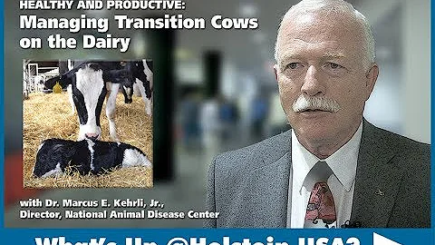 What's Up at Holstein USA - Healthy & Productive: Managing Transition Cows on the Dairy