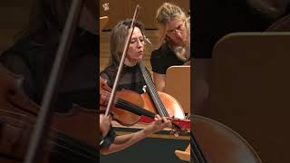 Vivaldi: Autumn - III. Allegro | Elli Choi, Orquesta Reino de Aragón, Ricardo Casero