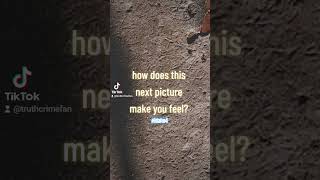 Celebrity How does this group photo make you feel? #question #truecrime Wealth