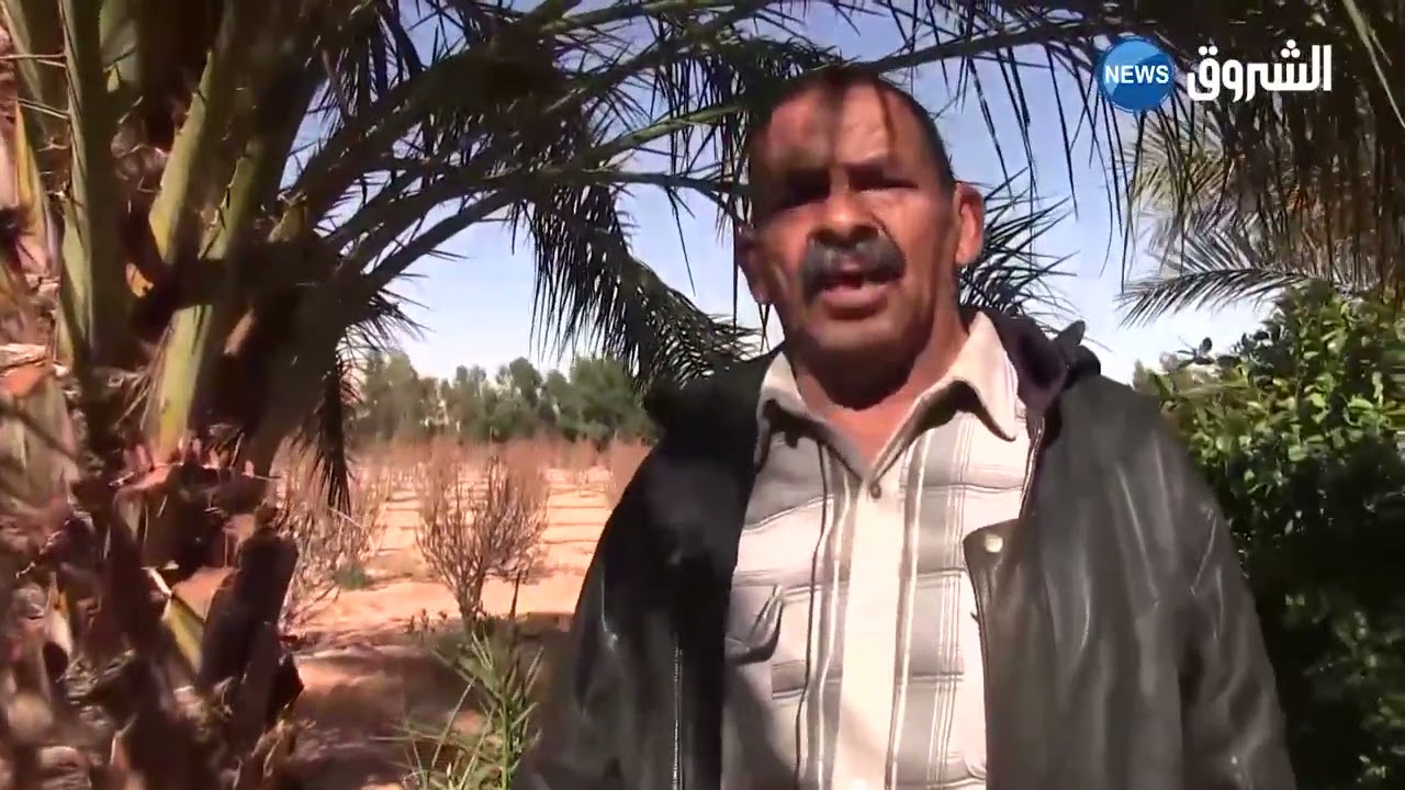 المنيعة :غياب الكهرباء الفلاحية يؤرق فلاحي حاسي غانم